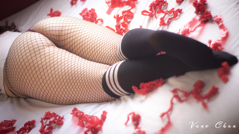 Leaked vane-chan header onlyfans leaked