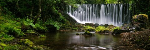 Leaked veeveevixenof header onlyfans leaked