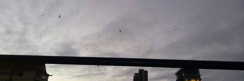 Leaked vegao94 header onlyfans leaked