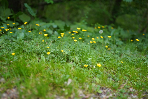 Leaked verasadly header onlyfans leaked