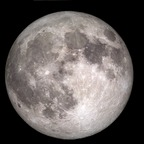 vero_devil Profile Picture