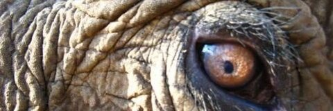 Leaked vietcool header onlyfans leaked