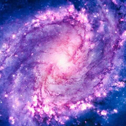 Leaked vittapremfree header onlyfans leaked