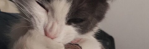 Leaked vnnais header onlyfans leaked