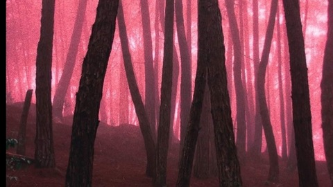 Leaked waifuk header onlyfans leaked