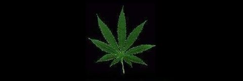 Leaked wednesdaylette header onlyfans leaked