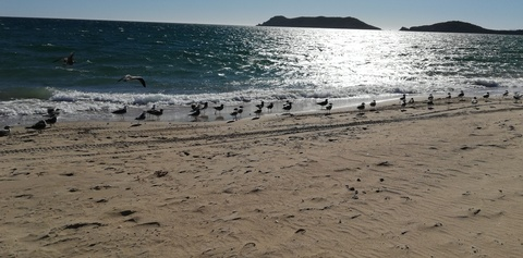 Leaked westqueen header onlyfans leaked