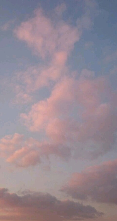 Leaked wetsunflowers header onlyfans leaked