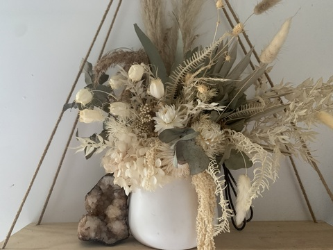 Leaked willowswilson header onlyfans leaked