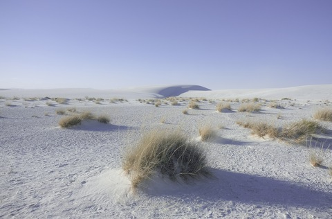 Leaked wolfandvenus header onlyfans leaked