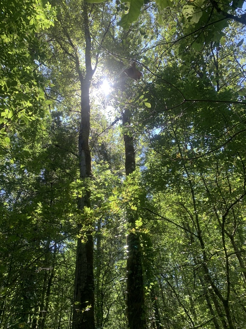 Leaked wylie header onlyfans leaked