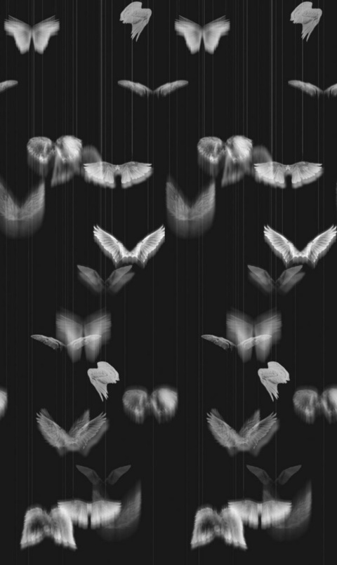 Leaked x.rose header onlyfans leaked