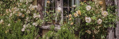 Leaked xbellbellx header onlyfans leaked