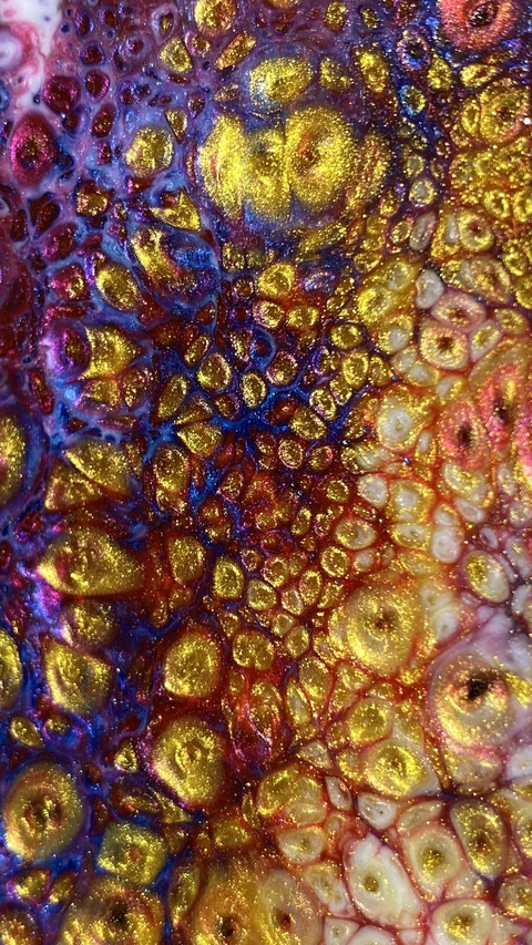 Leaked xntric5 header onlyfans leaked