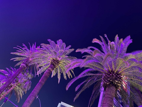 Leaked xoticbeauty1 header onlyfans leaked