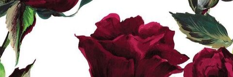 Leaked xoxohan header onlyfans leaked