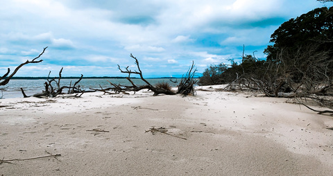 Leaked xoxpeachymom header onlyfans leaked