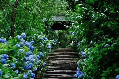 Leaked xxpeachybabexx header onlyfans leaked