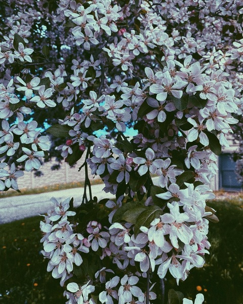 Leaked xxsacredhoneyxx header onlyfans leaked