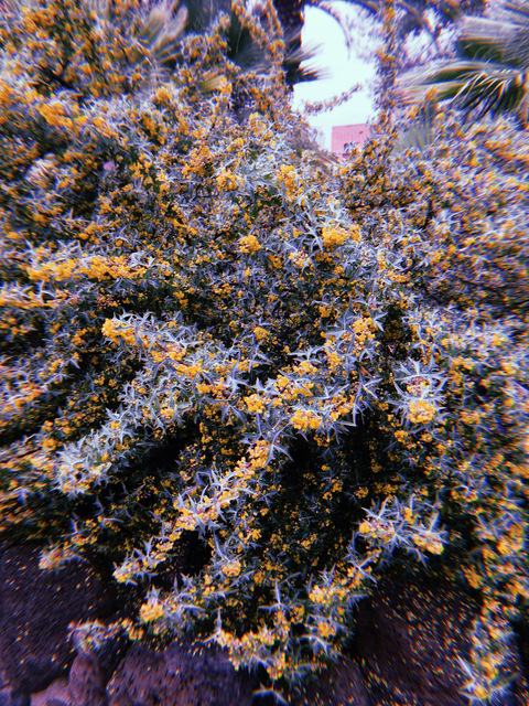 Leaked xxxhoniexxx header onlyfans leaked