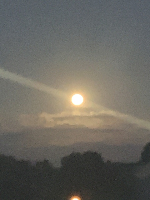 Leaked yafutureex header onlyfans leaked