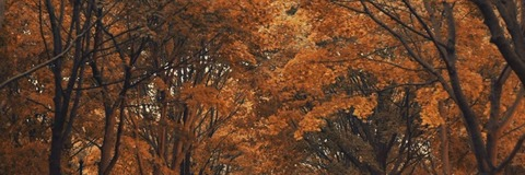 Leaked yeshee_ header onlyfans leaked