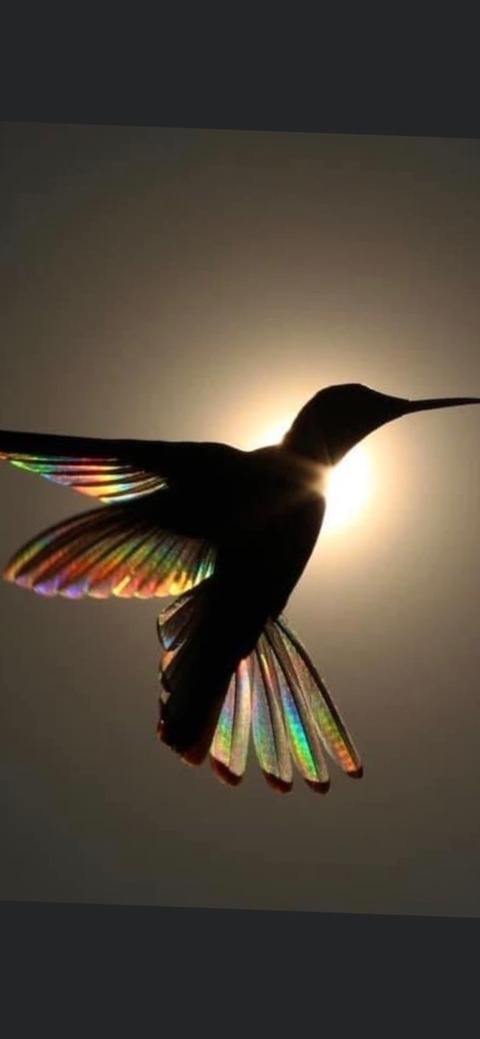 Leaked ynattirbxxx header onlyfans leaked