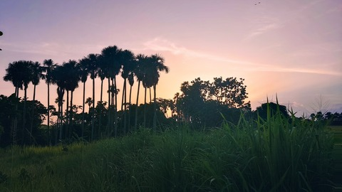 Leaked yoha_20 header onlyfans leaked