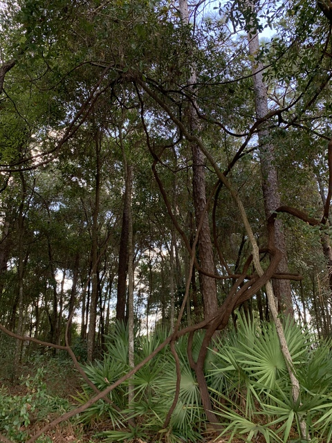 Leaked youknowyouseeit header onlyfans leaked