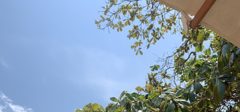 Leaked youngboybigd header onlyfans leaked