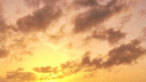 Leaked youngvladi header onlyfans leaked