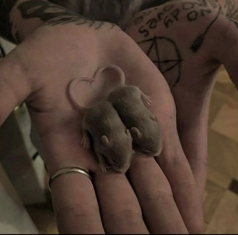 Leaked yunasoup header onlyfans leaked