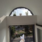 Leaked zaraasfeet onlyfans leaked