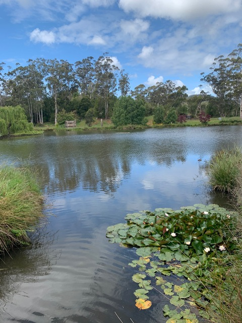 Leaked zoeappleby header onlyfans leaked