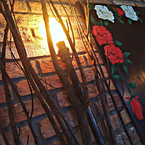 Leaked zoee0902 header onlyfans leaked