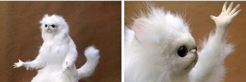 Leaked zoooooooooom header onlyfans leaked